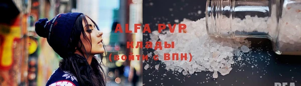 крисы Надым