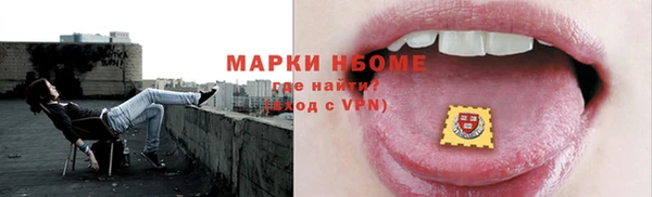 крисы Надым