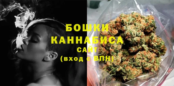 крисы Надым