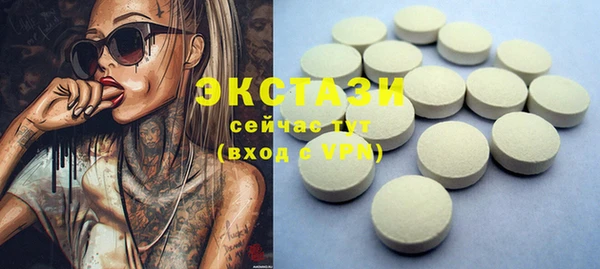 крисы Надым