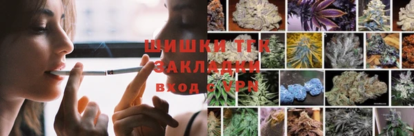 крисы Надым