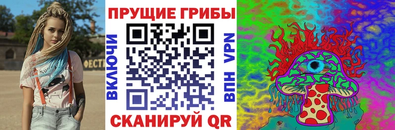 mega tor  Сухиничи  Галлюциногенные грибы мицелий 